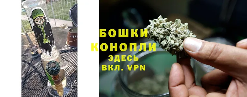 Шишки марихуана Ganja  Зеленогорск 